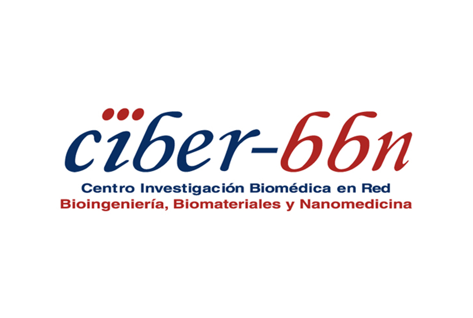  Centro de Investigación Biomédica en Red en Bioinginiería, Biomateriales y Nanomedicina (CIBER-BBN)